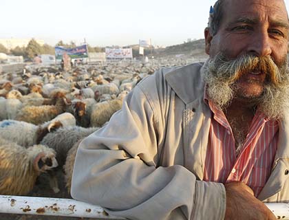 Sacrifice from a Broader Perspective!