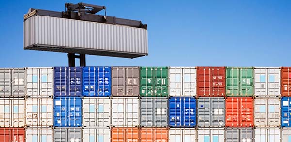 state as a Welfare Organization