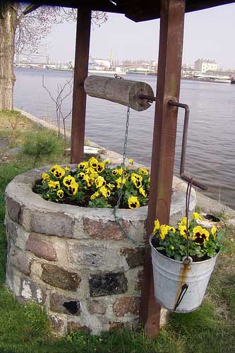 The Syndrome of Idleness