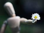Forgiveness: A Prophetic Example