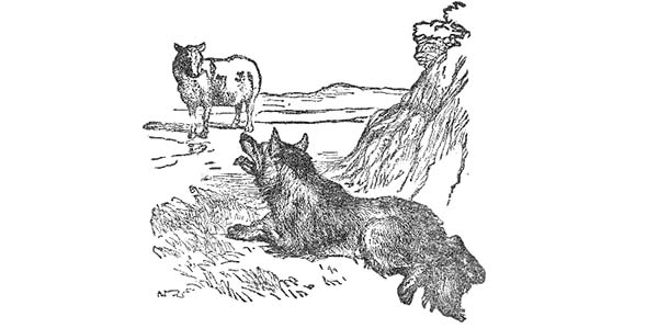 Comparing the Qualities