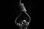 Egoistic or Altruistic Suicide?