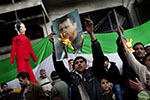 Syrian Quivering  Winter	