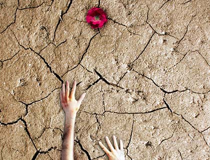 Suicide to Avoid Difficulties