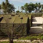 Widespread Despondency Serves Migration