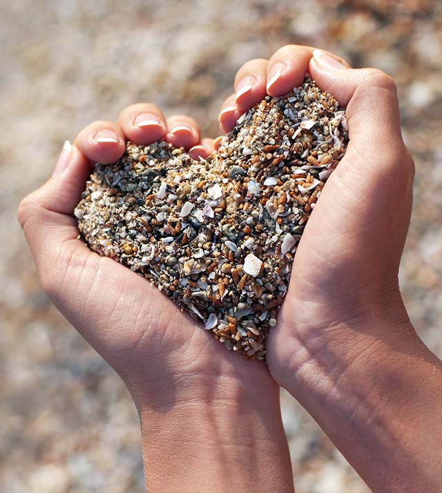 Compassion Embraces All
