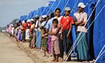 Rebuilding the  Asylum System 