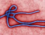 Three Global Health Threats
