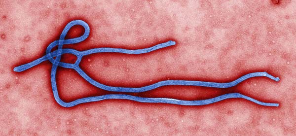 Three Global Health Threats