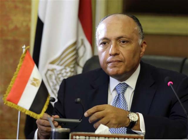 Foreign Countries did not Coordinat with Egypt on Security: FM