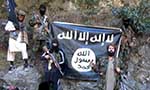 An Increase in Militancy 