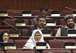 MPs Call for Urgent  Action over Security