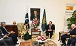 Need to Ensure Extremist Do Not Find Safe Havens: Sushma