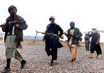 Taliban Make Millions from Badghis Pistachio Yields