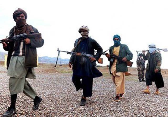 Taliban Make Millions from Badghis Pistachio Yields