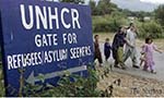 Over 56,000 Afghan  Refugees Repatriated  this Year: UNHCR