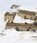 Nation mourns after 260 dead in avalanches
