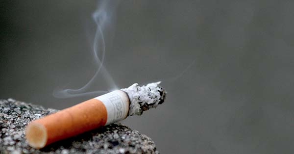 where does the word tobacco come from History of tobacco where does the word tobacco come from History of tobacco