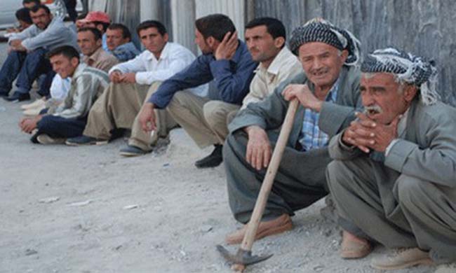 Unemployment Results in Frustration and Insecurity