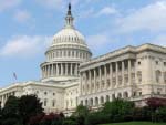 Take Action against All Terror Groups, US Asks Pakistan