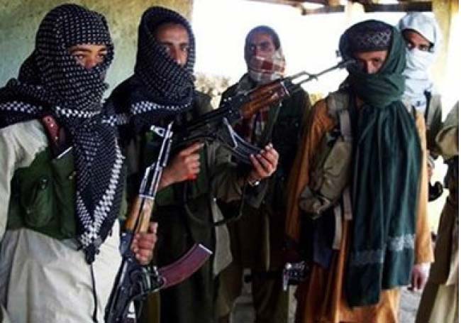 MoI: Plans in Place to Crack Down on Taliban