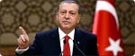 Turkey to Hold Early  Elections on Nov. 1 