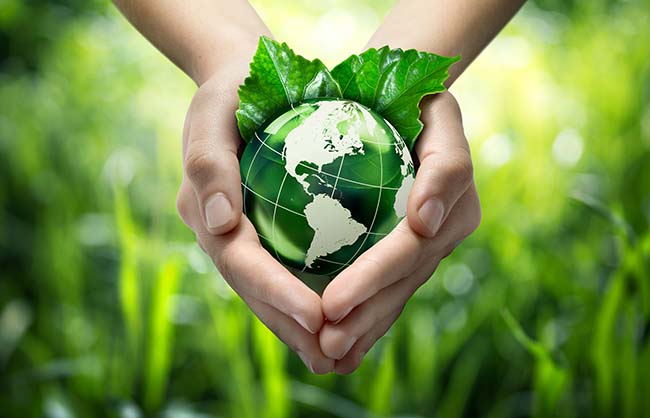 Environmental Management!  