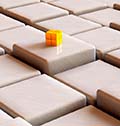The Inequality Puzzle 