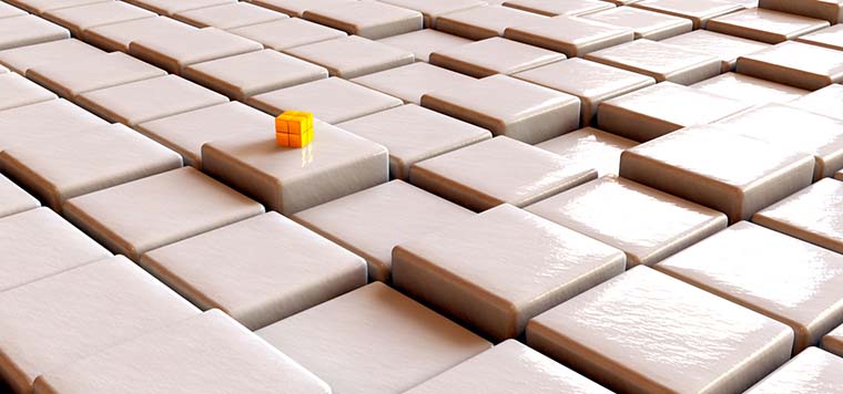 The Inequality Puzzle 