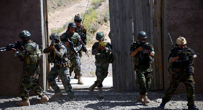 Afghan Forces Kill 302 Militants in Week as Crackdowns Against Militant Groups Continue