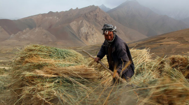 Afghanistan’s Economy   Projected to Remain at 2.5%  Growth in 2019: ADB
