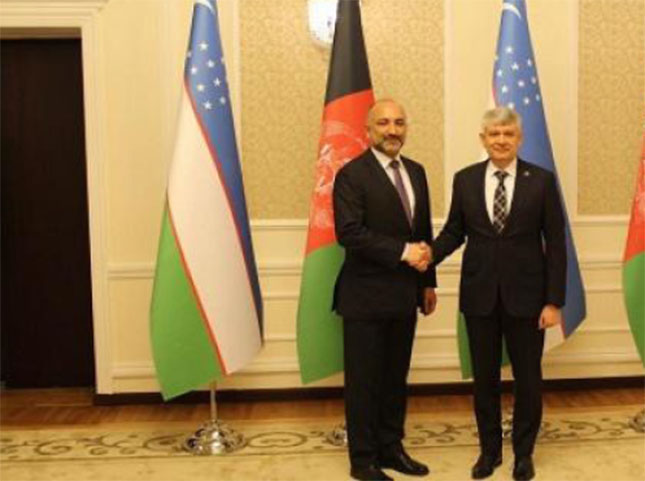 Uzbekistan Cuts Price of Power Exports to Afghanistan