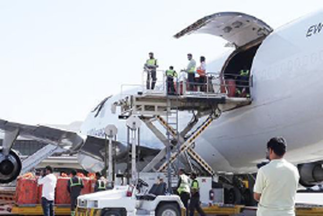 Fruit Exports Increase  as New Air Corridors Sought