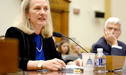 Alice Wells Urges Independent Electoral Complaints Commission (IECC) to Fully Address Complaints