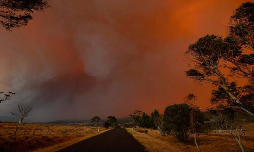 ‘It Is Too Late to Leave. Seek  Shelter’ - Bushfires Burn Out of Control in Australia as Death Toll Rises to at Least 23