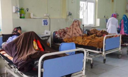 Suicide Attempts on the Rise in Herat: Officials