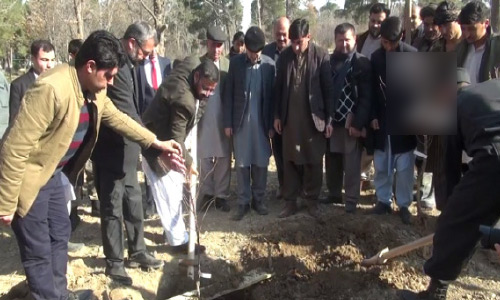 Jangal Bagh Garden Being  Revived in Jawzjan