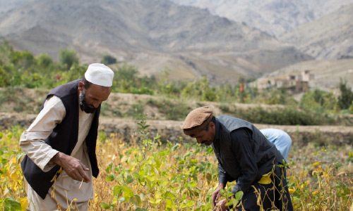Korea Aims to Improve Household Food Security   