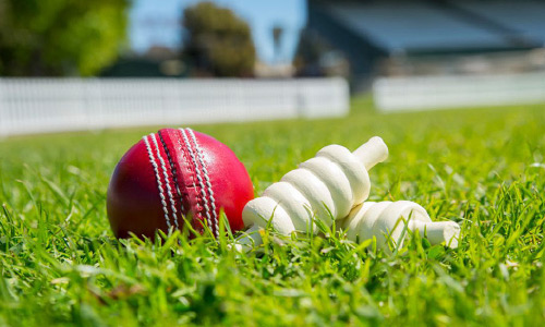 ACB Order  Probe Against Aftab  Alam, Suspend  Team Manager