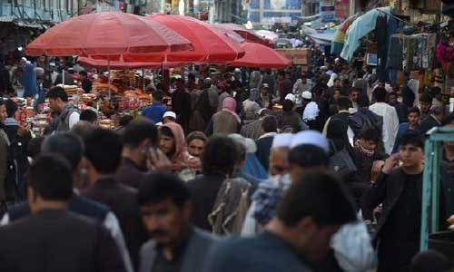 Kay, Rehman Want Afghan Peace Bid Intensified