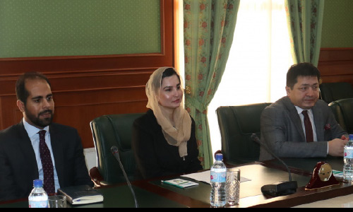 Meeting with Deputy Foreign Minister of Afghanistan