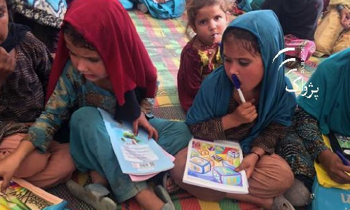 Curriculum  Reforms: MoE Plans Grand  Consultative Meeting