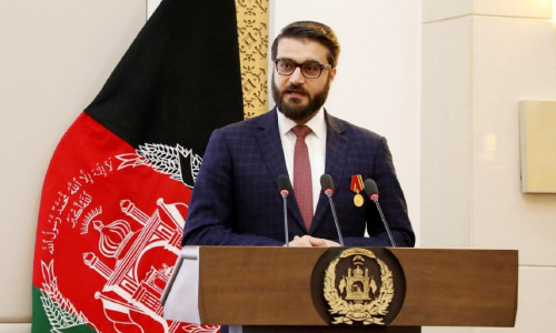 Mohib Wants Taliban to  Declare Ceasefire