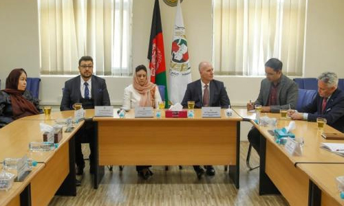 Canadian Envoy Impressed by Afghan Vote Tally
