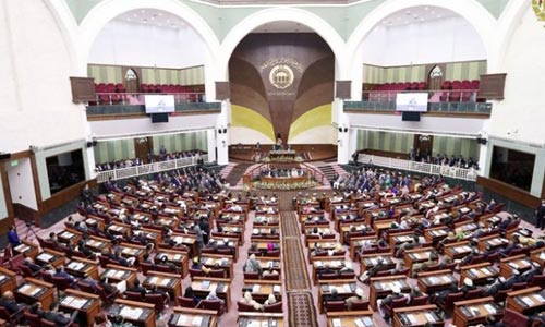 A Glance at the Eight Years Performance  of Afghan Parliament