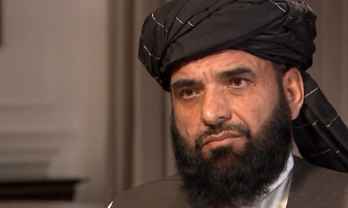 Shahin: We Will Not Cease,  But We Will Reduce the Battle Against US and Afghan Forces