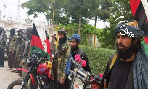 Taliban Group Joins  Peace Process in Ghor