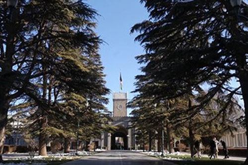 Afghan Govt Assures Transparency in Allocating COVID-19 Funds