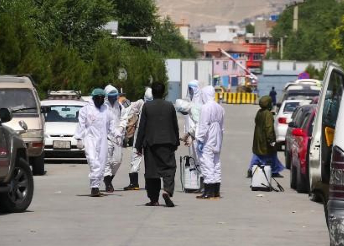 83 New Cases of COVID-19, 10 Deaths Reported