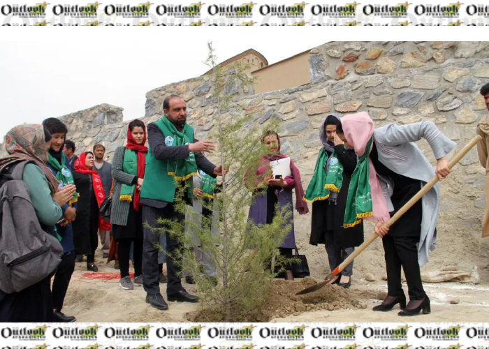 Women Launch Tree Plantation Drive in Kabul